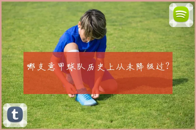 哪支意甲球队历史上从未降级过？