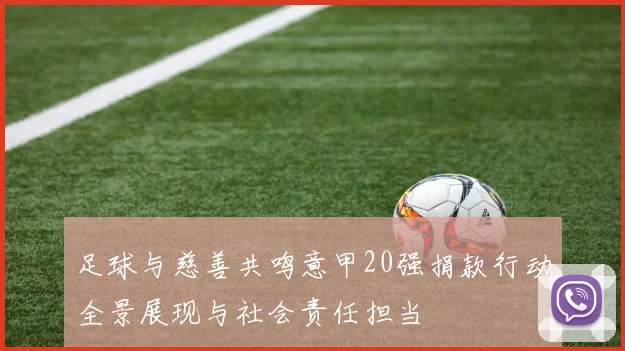 足球与慈善共鸣意甲20强捐款行动全景展现与社会责任担当